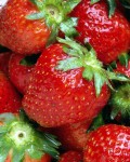strawberries strawberries