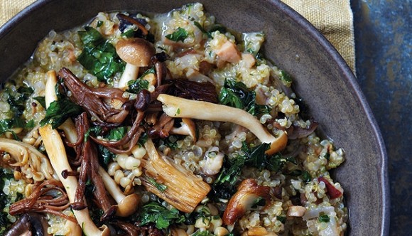 wild mushroom risotto